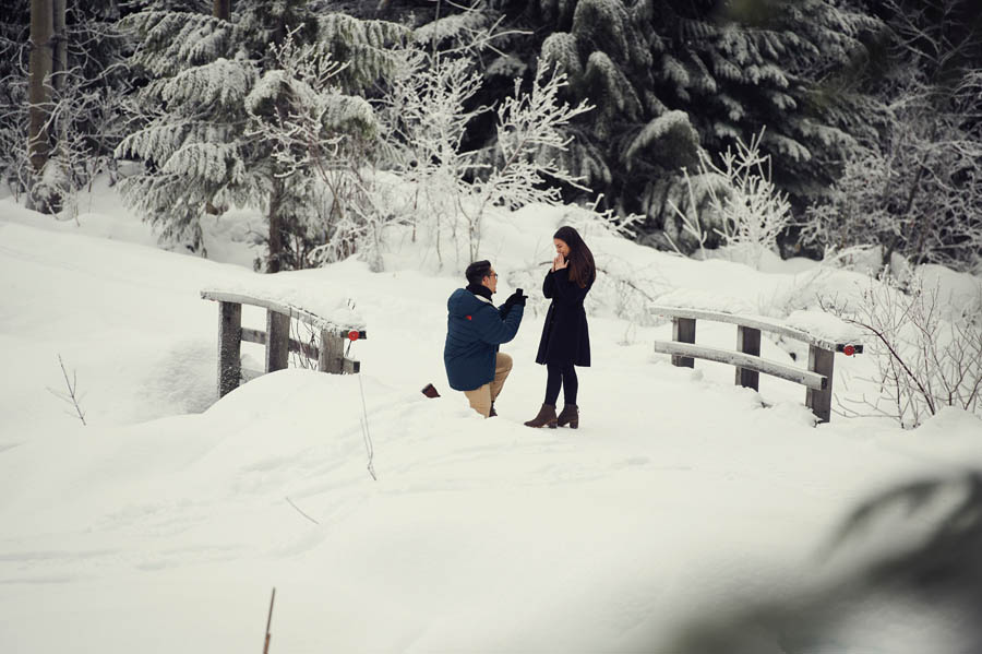 Whistler secret engagement proposal photographer
